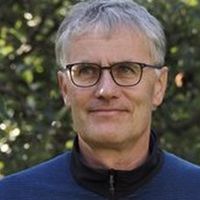 Bruns, Kai